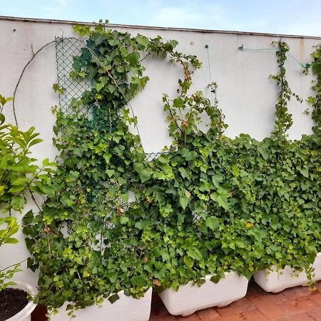 Atico Isaac Albeniz Apartamento La Pineda Exterior foto