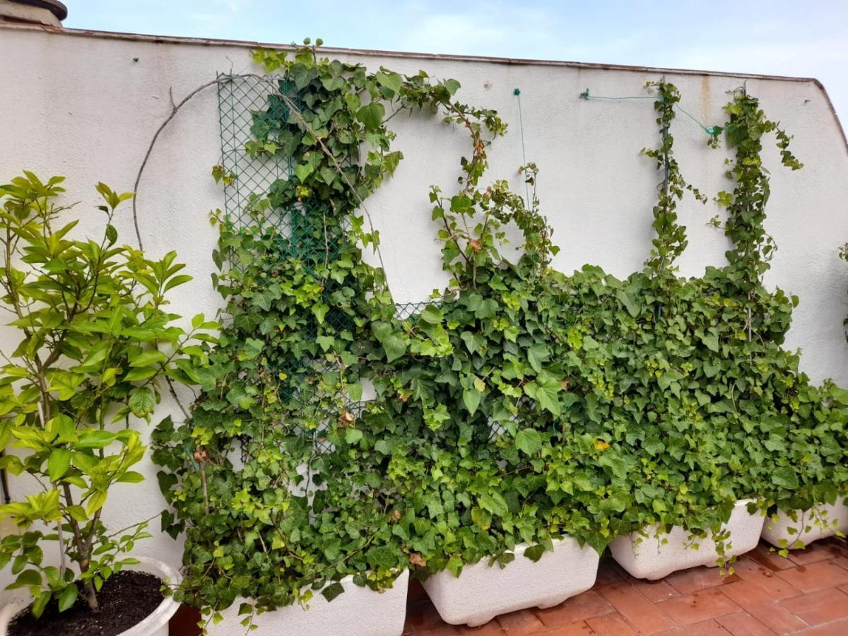 Atico Isaac Albeniz Apartamento La Pineda Exterior foto