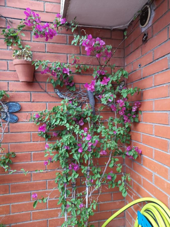 Atico Isaac Albeniz Apartamento La Pineda Exterior foto